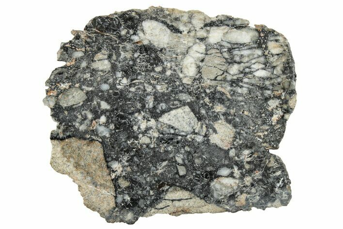 Polished Lunar Meteorite ( g) Slice - Ajdabiya #301127